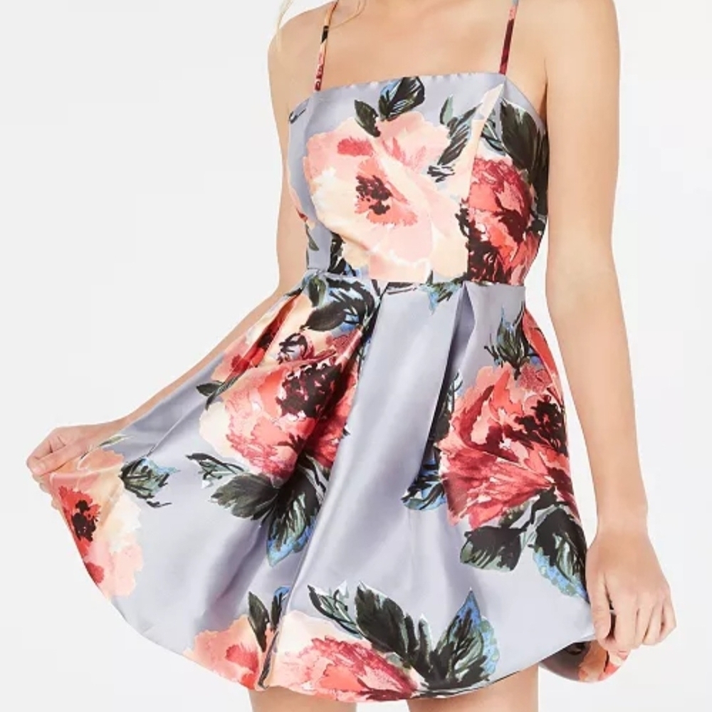 Crystal Doll Gray and Red Dress